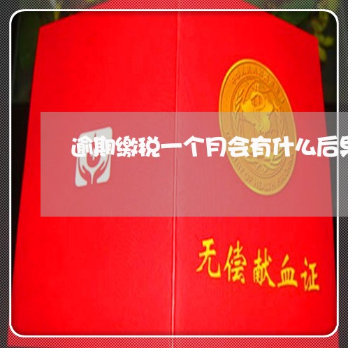 逾期缴税一个月会有什么后果 逾期缴税一个月会有什么后果