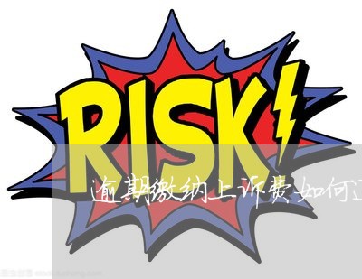 逾期缴纳上诉费如何退费 逾期缴纳上诉费如何退费