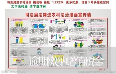 逾期缴纳增值税金 逾期缴纳增值税金
