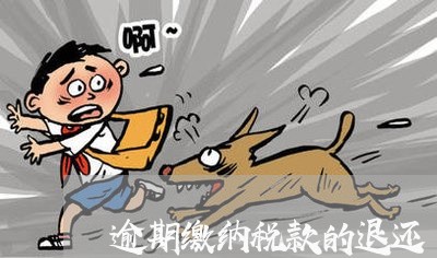 逾期缴纳税款的退还 逾期缴纳税款的退还