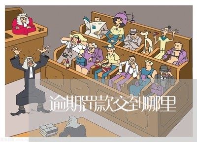 逾期罚款交到哪里 逾期罚款交到哪里