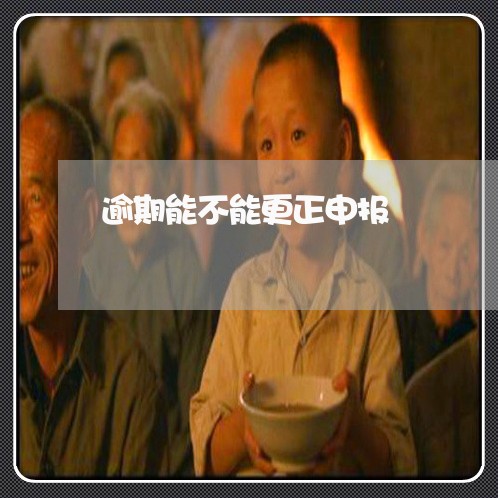 逾期能不能更正申报 逾期能不能更正申报