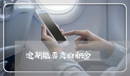 逾期能否交公积金 逾期能否交公积金