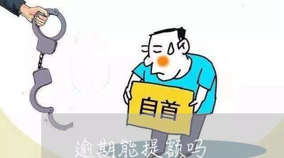 逾期能提额吗