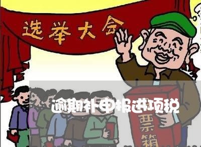 逾期补申报进项税 逾期补申报进项税