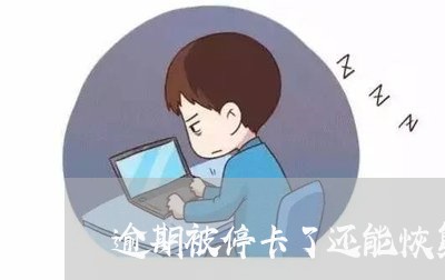 逾期被停卡了还能恢复吗 逾期被停卡了还能恢复吗