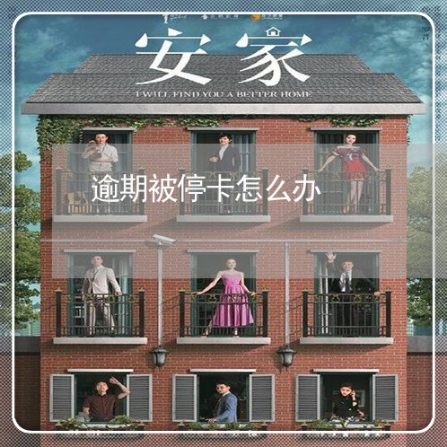 逾期被停卡怎么办