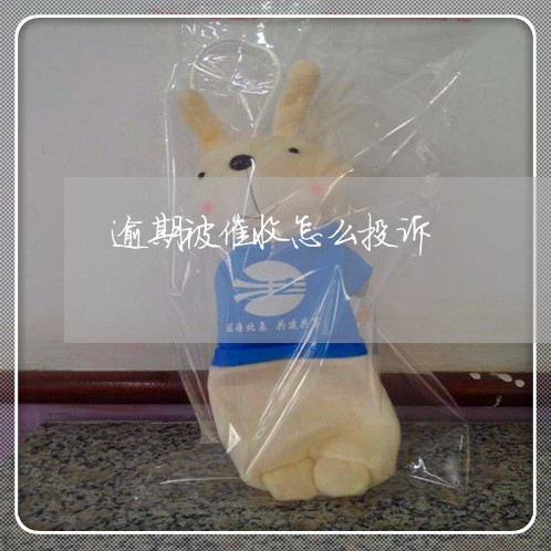 逾期被催收怎么投诉