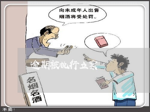 逾期被执行立案 逾期被执行立案