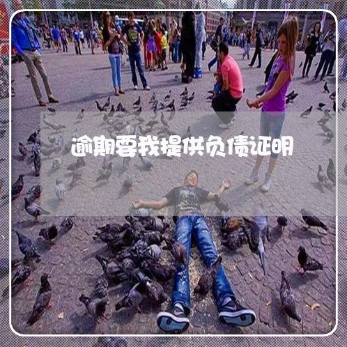 逾期要我提供负债证明 逾期要我提供负债证明