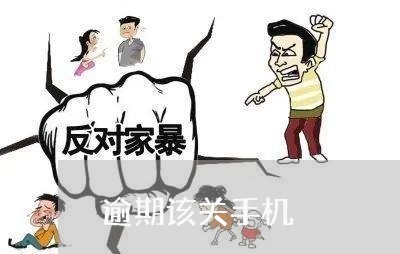 逾期该关手机
