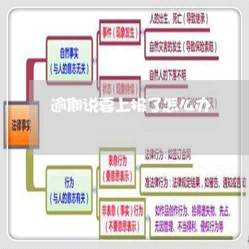 逾期说要上报了怎么办