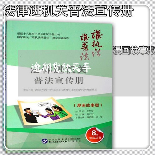 逾期货款买车
