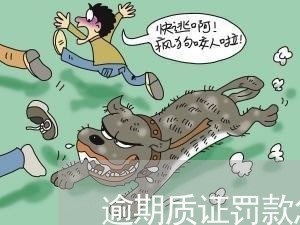 逾期质证罚款怎么定 逾期质证罚款怎么定