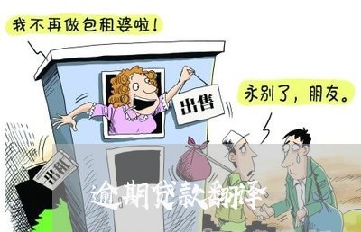 逾期贷款翻译