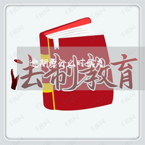 逾期费什么时候交