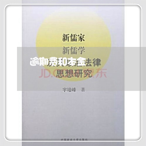 逾期费和本金 逾期费和本金