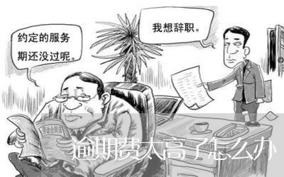 逾期费太高了怎么办