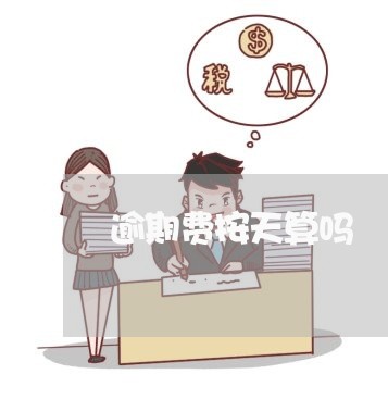 逾期费按天算吗