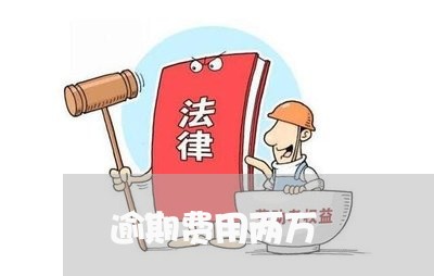 逾期费用两万