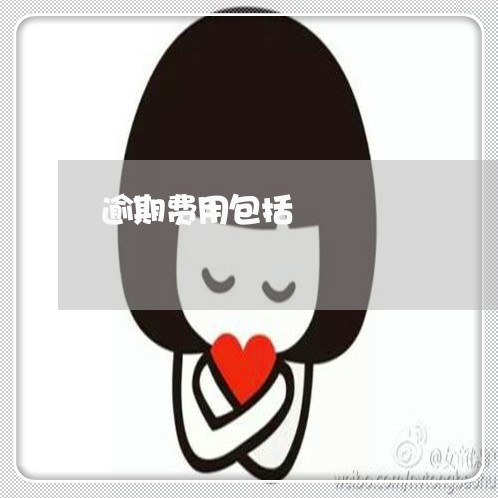 逾期费用包括 逾期费用包括