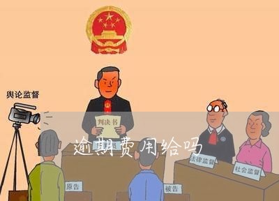 逾期费用给吗