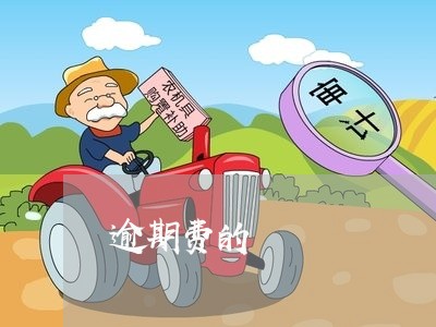 逾期费的 逾期费的