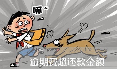 逾期费超还款金额 逾期费超还款金额