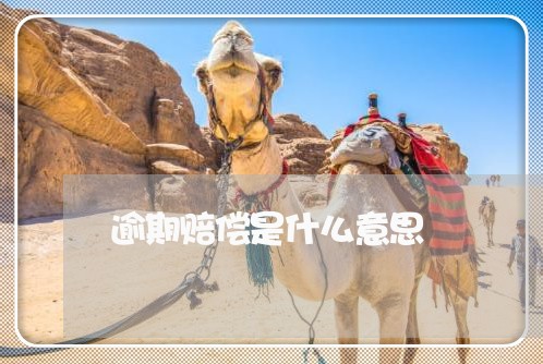 逾期赔偿是什么意思