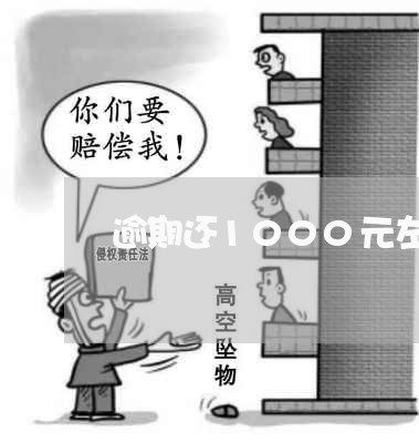 逾期还1000元左右行吗
