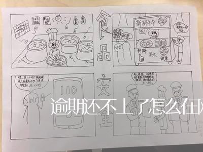 逾期还不上了怎么在网上查询 逾期还不上了怎么在网上查询