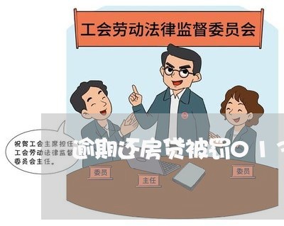 逾期还房贷被罚013元/2023061040584 逾期还房贷被罚013元/2023061040584