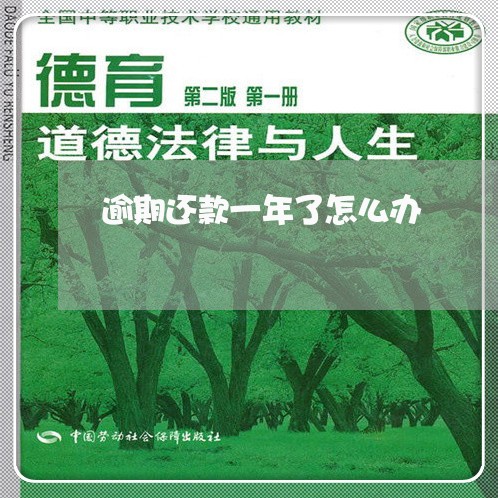 逾期还款一年了怎么办 逾期还款一年了怎么办