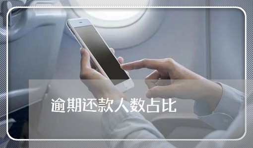 逾期还款人数占比