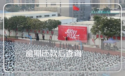 逾期还款后查询