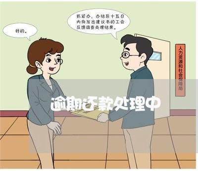 逾期还款处理中/2023061062837