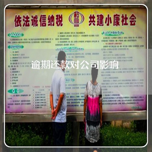 逾期还款对公司影响