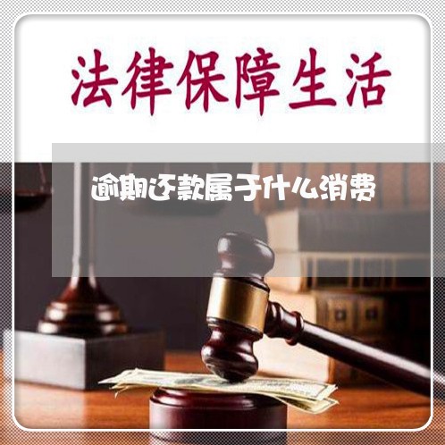 逾期还款属于什么消费