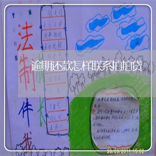 逾期还款怎样联系拍拍贷