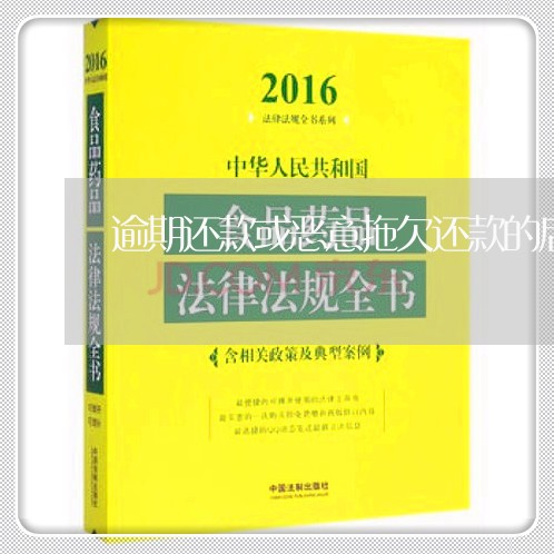 逾期还款或恶意拖欠还款的后果 逾期还款或恶意拖欠还款的后果