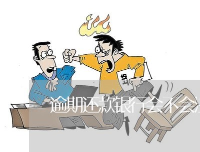逾期还款银行会不会注意到我
