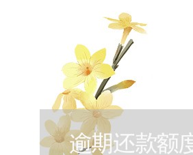 逾期还款额度 逾期还款额度