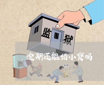 逾期还能借小贷吗 逾期还能借小贷吗