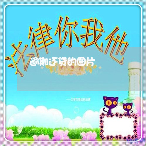 逾期还贷的图片 逾期还贷的图片