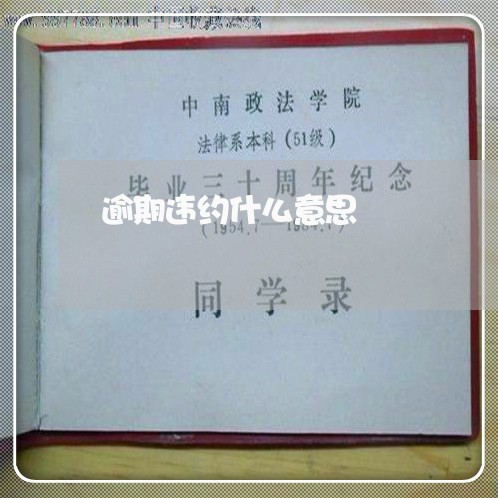 逾期违约什么意思
