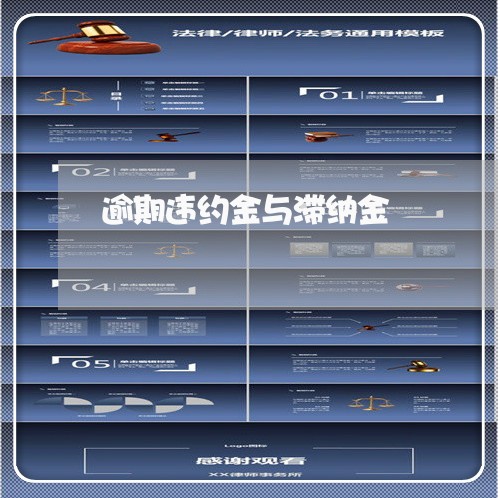 逾期违约金与滞纳金
