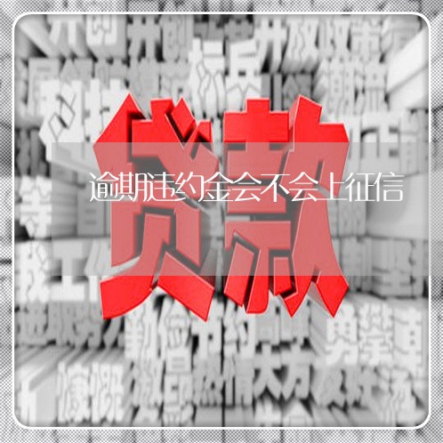 逾期违约金会不会上征信