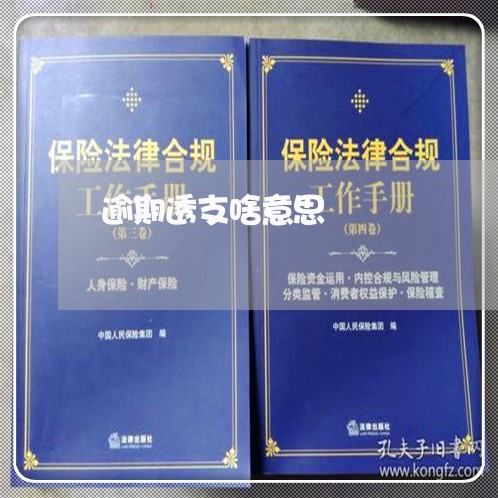 逾期透支啥意思