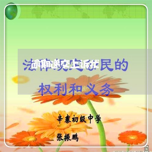 逾期递交上诉状