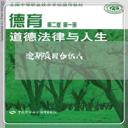 逾期项目合伙人